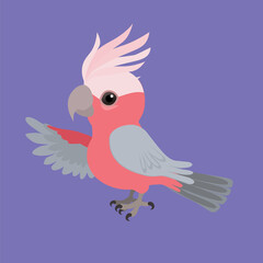 

An illustration of a cute galah cockatoo