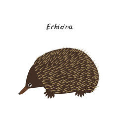 cute Kawaii Australian Echidna, isolated on white background. Can be used for cards for preschool children games, learning words. Vector
