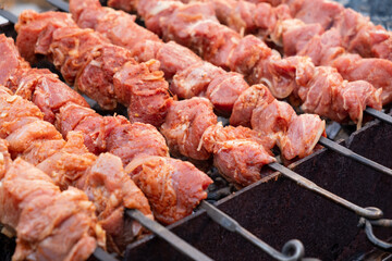 Raw shish kebab laid on the grill.