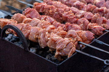 Marinated raw meat on coals.