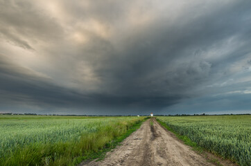 Fototapeta na wymiar stormy cloud over the fields of spring