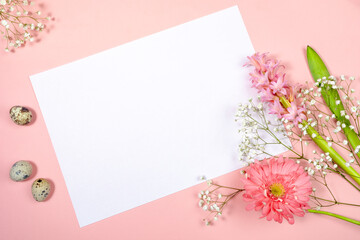 Easter festive greeting card with white sheet with copy space for text, quail eggs and spring flowers on pastel pink.