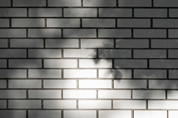 White brick wall with grey cement and deep shade from tree leaves. Abstract outdoor background. Copy space.