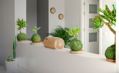 Kokedamas of succulent plants. Natural home decoration. Potted houseplants. Interior living room