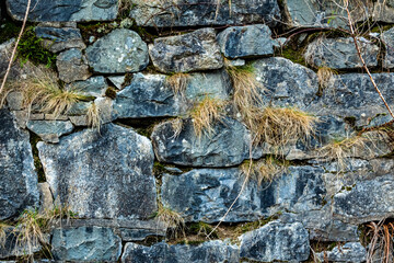Abstract of an old Scottish drystone wall or dyke, with moss and grass growing