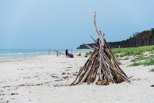 Treibgut angeschwemmtes Holz am Prerower Westrand auf dem Dar&szlig; an der Ostseek&uuml;ste
