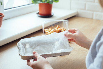 Lining an egg carton with a plastic bag for planting green onions. Step by step tutorial - obrazy, fototapety, plakaty