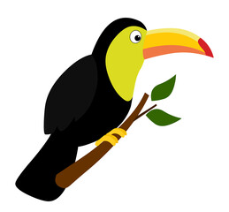 Toucan bird cartoon illustration