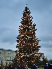 christmas tree in the city
