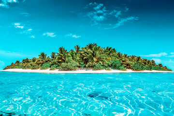 Fototapeta na wymiar Whole tropical island within atoll in tropical Ocean.