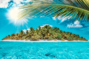 Whole tropical island within atoll in tropical Ocean on a summer day. Uninhabited and wild subtropical isle with palm trees. Equatorial part of the ocean, tropical island resort. © BRIAN_KINNEY