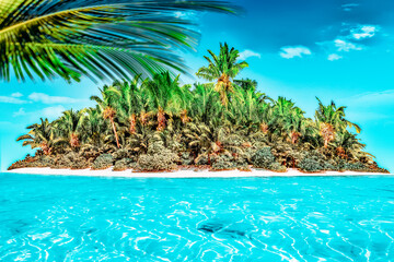 Obraz premium Whole tropical island within atoll in tropical Ocean.