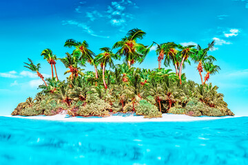 Whole tropical island within atoll in tropical Ocean.