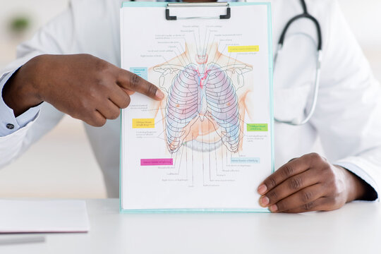 Doctor talking about coronavirus disease, showing picture with chest, lungs and respiratory organ on notepad