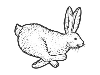 running rabbit sketch raster illustration