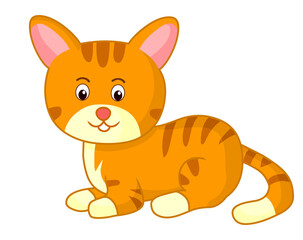 Cat Cute cartoon pet animal illustration cat