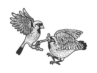 Fototapeta na wymiar birds fight warm sketch raster illustration