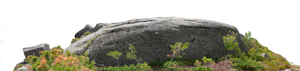 Wreath of fir branches on a white background, design element.