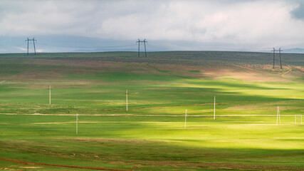 Green field with sun shadow patterns