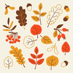 Autumn vector set of illustrations on an isolated background.Colorful, bright leaves,berries,acorns, seeds will become elements for a beautiful postcard,pattern,print,gift paper, stickers.