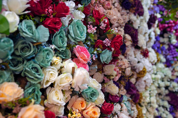 flower garden, parterre, flowers, beatiful