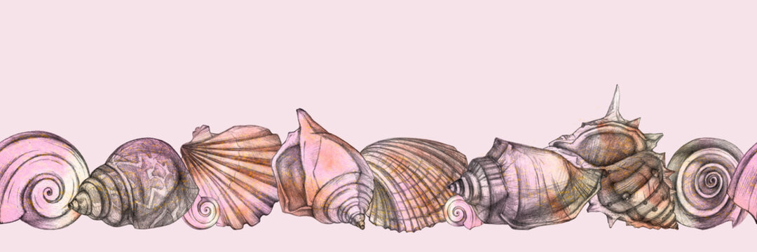 Beautiful seashells. Sea background. Seamless ribbon border. Hand drawing. Space for yout text.