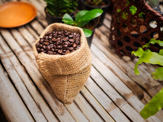 Coffee beans in hemp sack on wooden table with small tree. organic crop. food and drink for good health concept.
