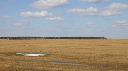 Obraz premium Beautiful vast brown ploughed field with forest on horizon against a blue sky on a Sunny spring day — land cultivation farm, agriculture, European rural life landscape 