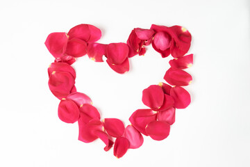 Valentine's day flowers. Pink rose flower and petals