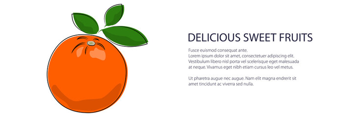 Citrus orange banner, tropical fruit isolated on white background, vector illustration