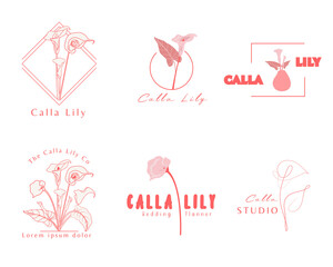 Calla Lily logo template. Botanical and flower logo. - obrazy, fototapety, plakaty