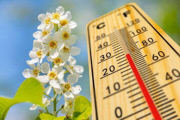 Warme Temperatur zum Frühling