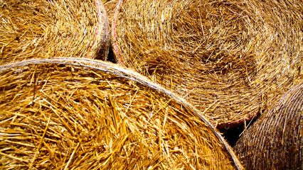 yellow hay bales, close-up view