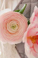 Pink ranunculus and buttercup flowers in a white eco bag hanging on a wooden hook rack on a white wall background. Selective focus