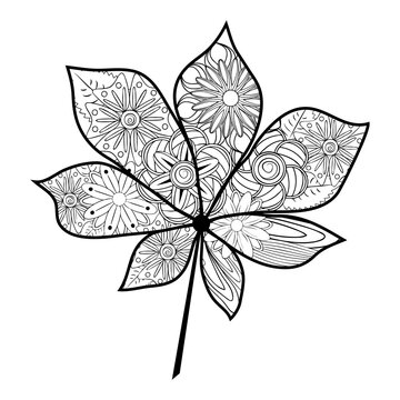 Zentangle. Flower pattern. White and black floral doodles