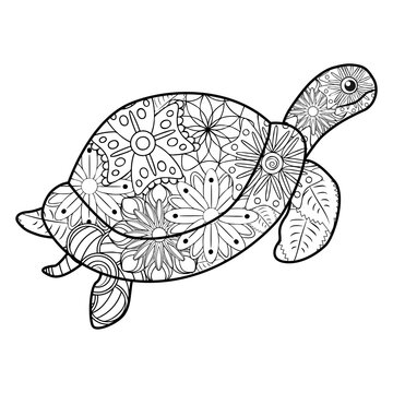Zentangle stylized turtle. Animals. Hand drawn doodle. Ethnic patterned. African, Indian, totem, tattoo design