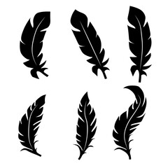 Collection of feather illustration, drawing, engraving, ink line art