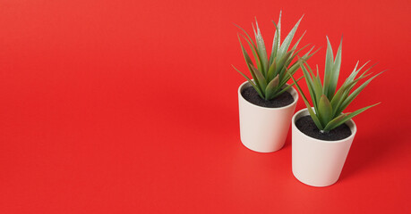 Two Artificial cactus or plastic plant or fake tree on red background.no people