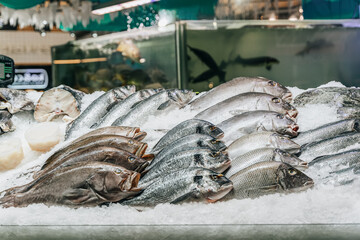 Assortment of fresh fish on ice, open showcases of seafood market. Fish store, seafood market