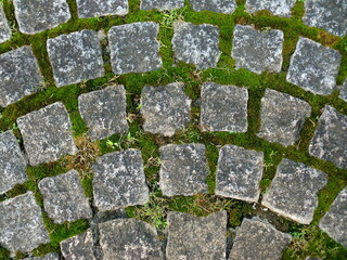 苔の生えた敷石の道