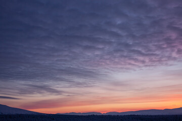 panoramic sunset with lilac and yellow colors go very well for site header. beautiful sky with cirrus clouds sunset