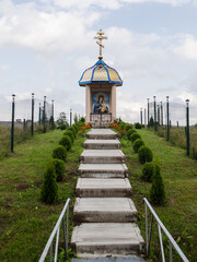 Fototapety na wymiar - Fototapeta24.pl