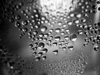 water drops on a surface