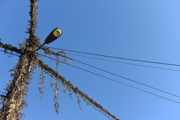 electricité energie poteau cable ligne tension eclairage