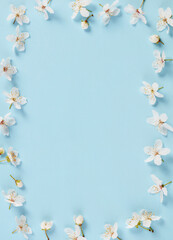 Fototapeta na wymiar White cherry blossoms frame