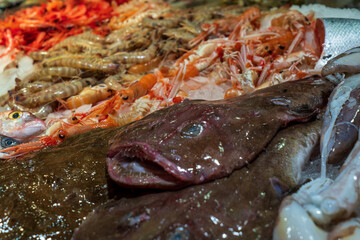 Close-up monkfish in a fish shop with prawns and langoustines on the background