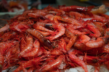 Red prawns in a food market from Palamós