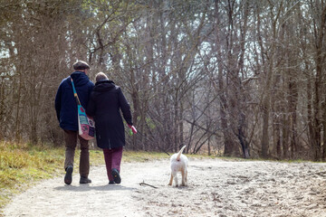 Elderly couple walking their white dog in the dutch dunes carrying a colorful bag