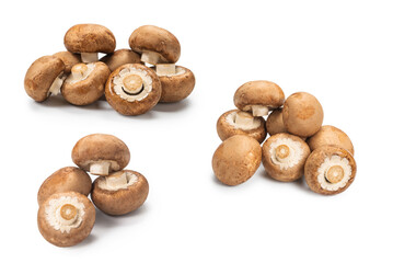 Tasty mushroom isolated on white background.