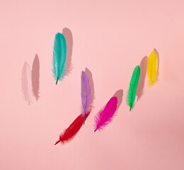 tropical pink, red, green, blue, purple and orange feathers fluing in the air on the bright pink background. creative decoration idea. abstract art